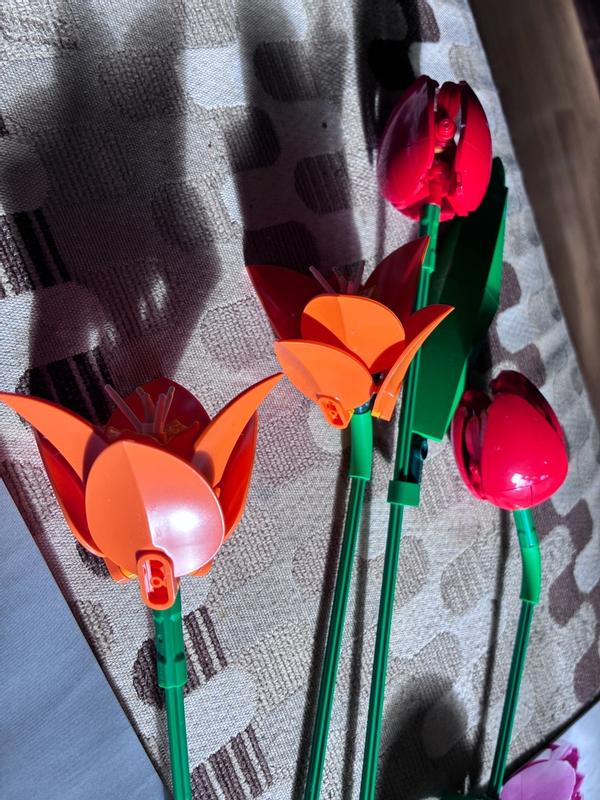 User generated review image 3