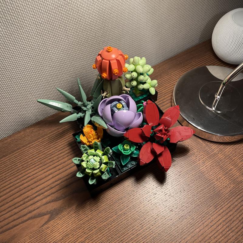 User generated review image 1