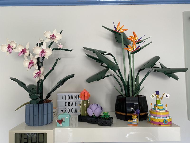 User generated review image 2