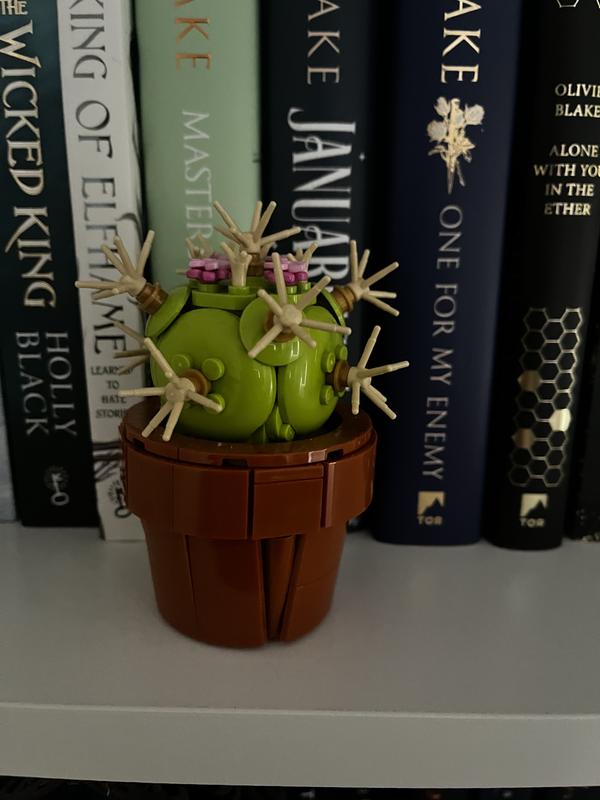 User generated review image 2