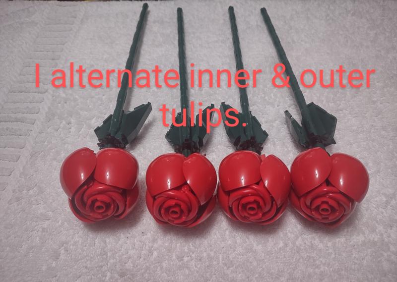 User generated review image 2