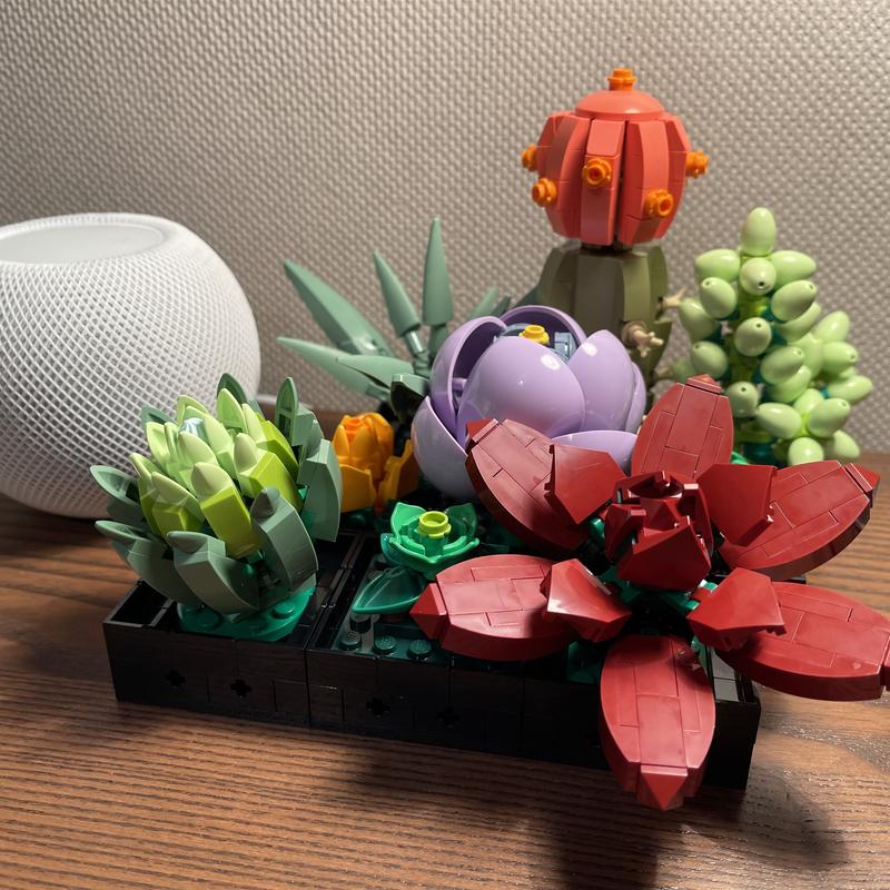 User generated review image 3