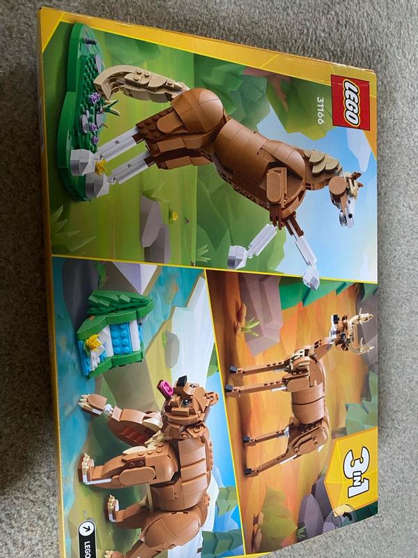 User generated review image 1