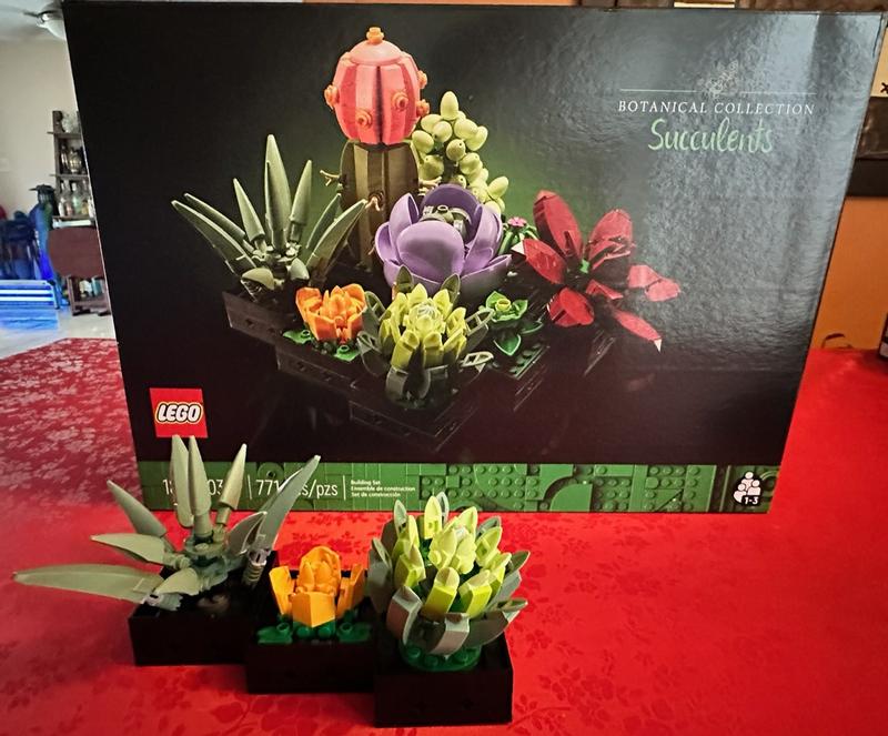 User generated review image 1