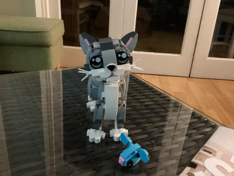 User generated review image 1