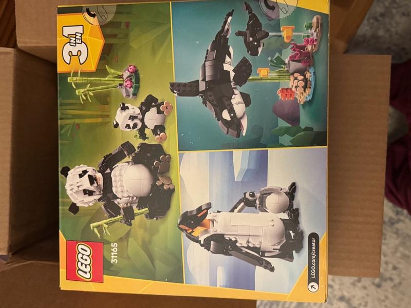 User generated review image 2