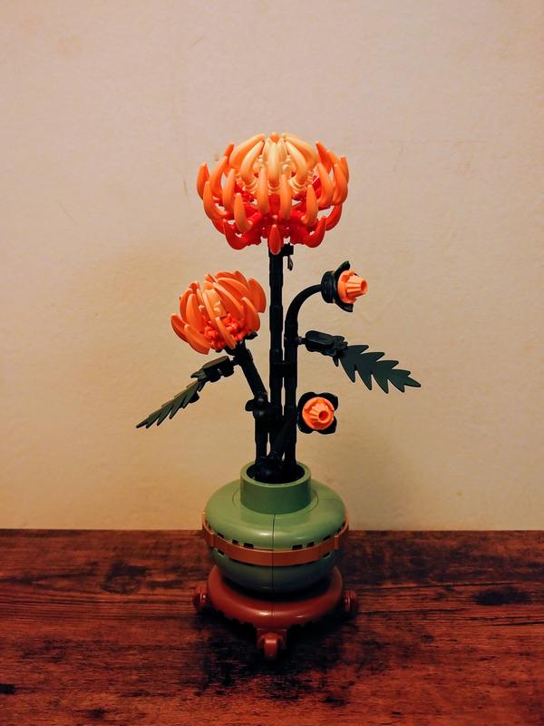 Review Thumbnail Image 0 1208384183