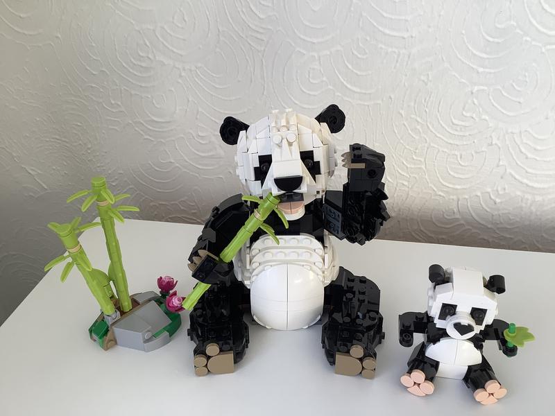 User generated review image 2