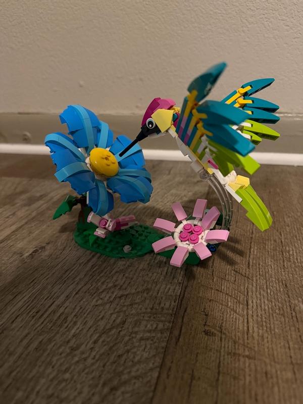 User generated review image 1