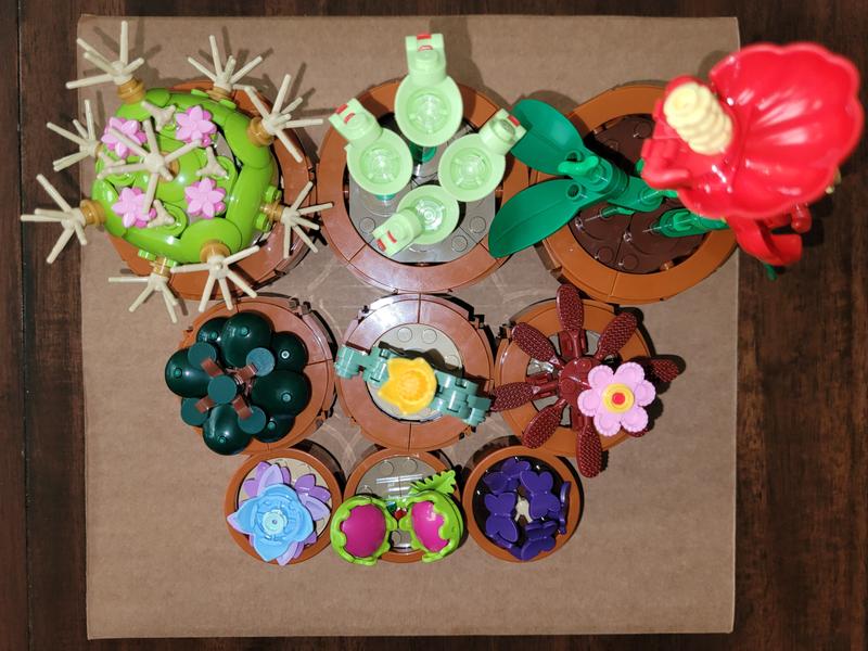 User generated review image 3