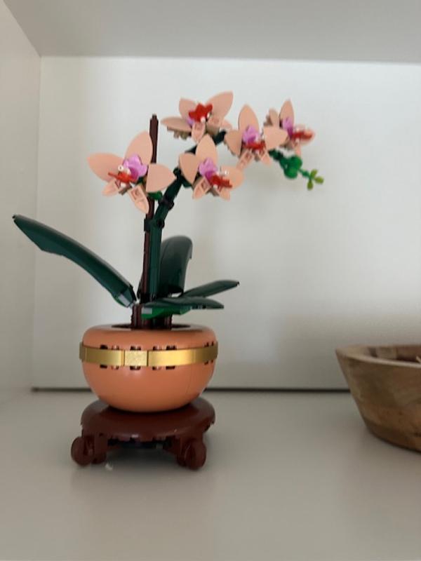 User generated review image 1