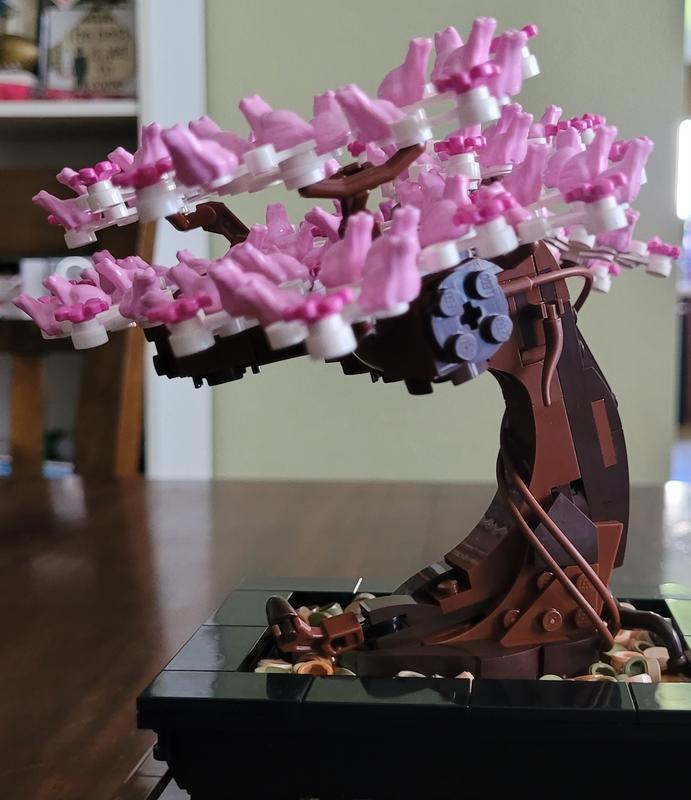 User generated review image 1