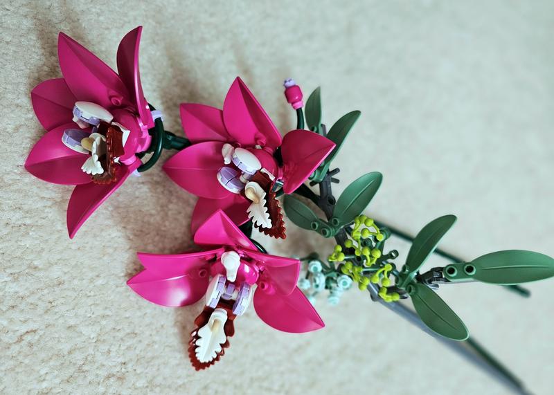 User generated review image 3