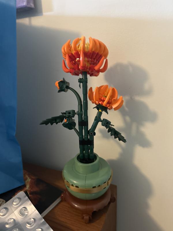 Review Thumbnail Image 1 1204949851