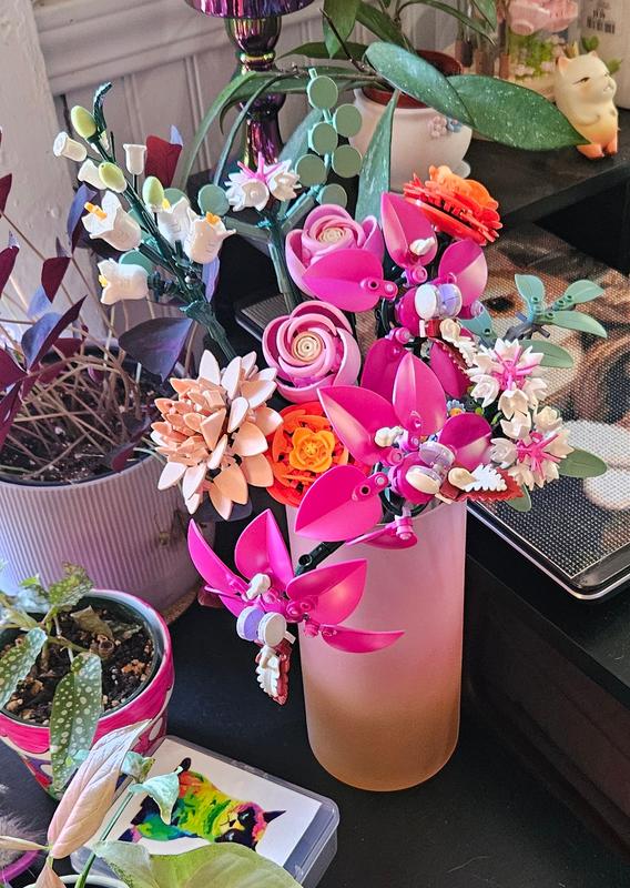 Review Thumbnail Image 0 1203023306