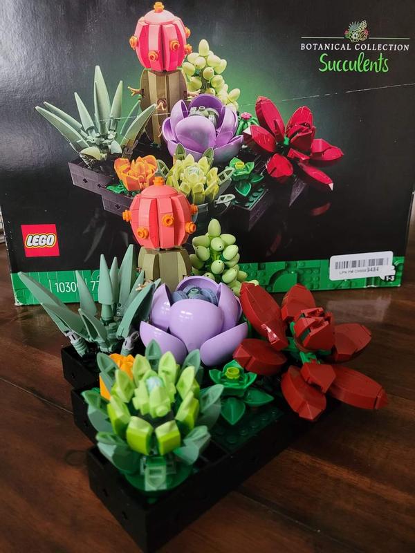 User generated review image 1