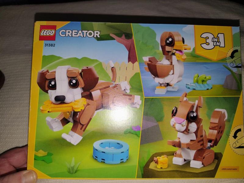 User generated review image 1