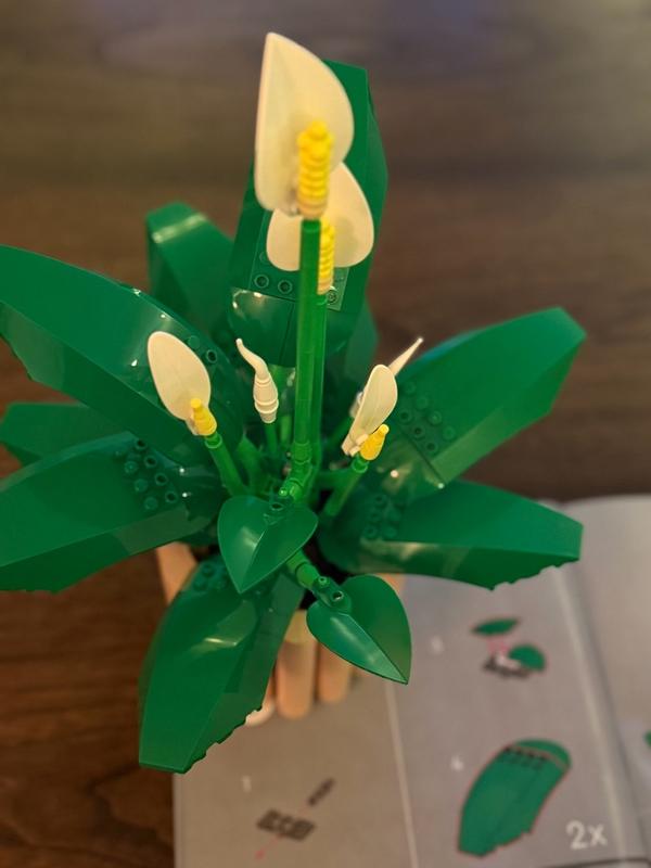 User generated review image 3