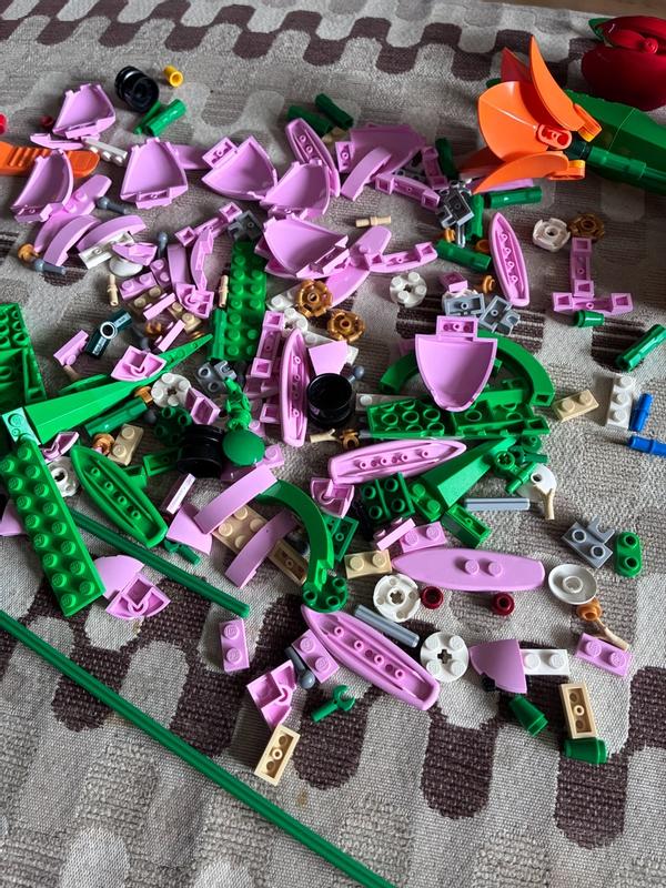 User generated review image 2