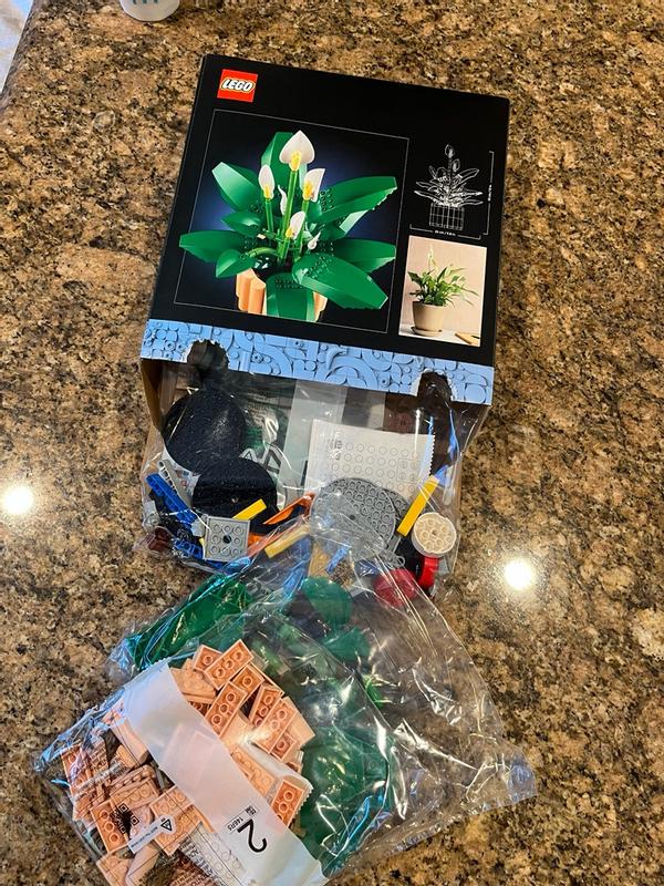 User generated review image 1