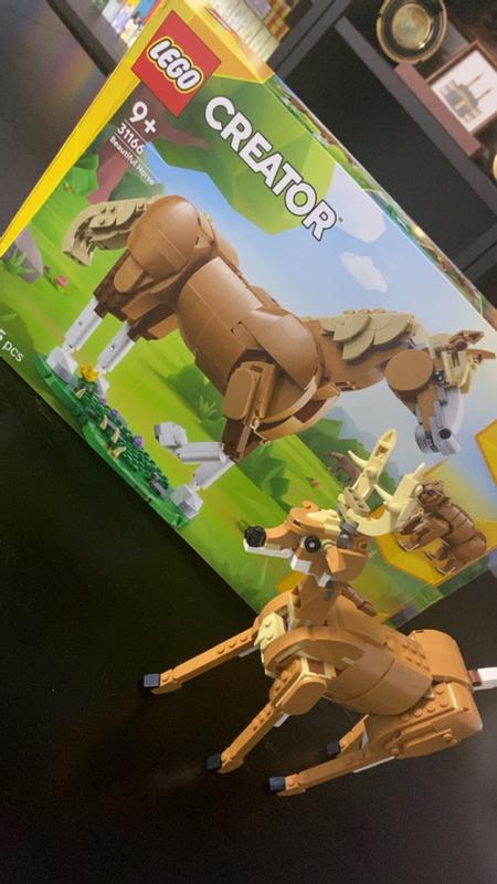 User generated review image 1