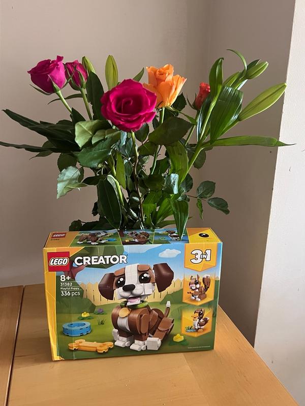 User generated review image 2