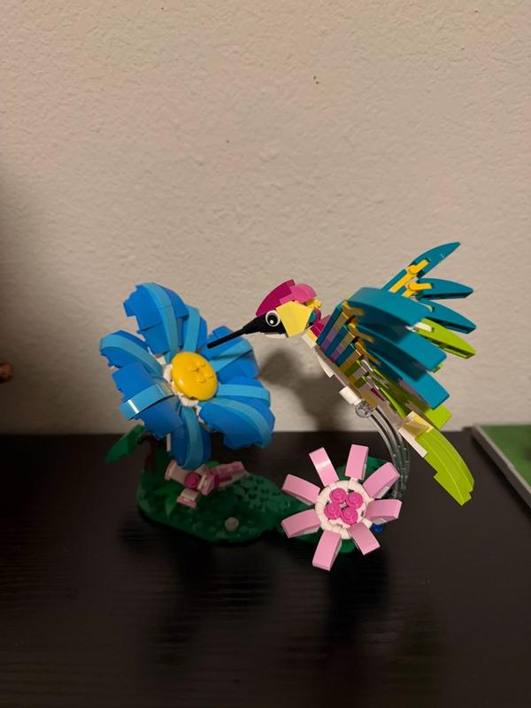 User generated review image 3