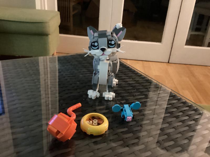 User generated review image 3