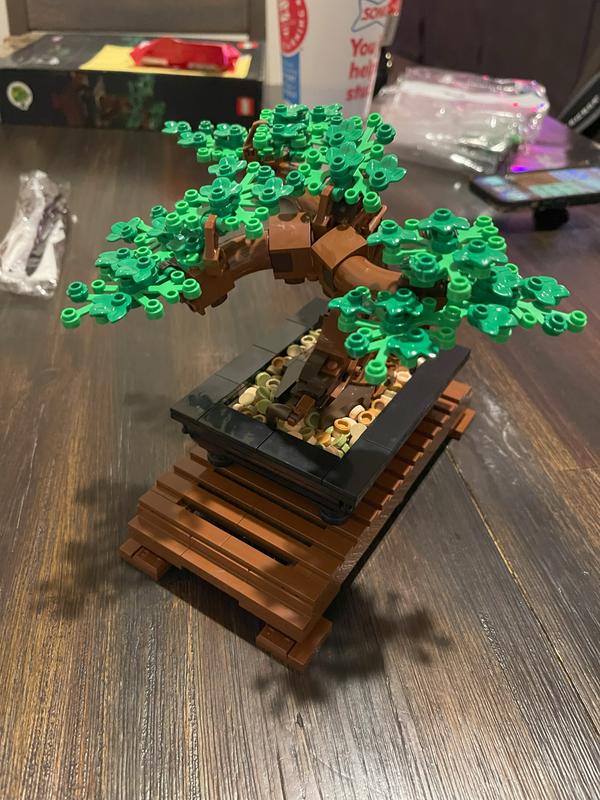 User generated review image 3