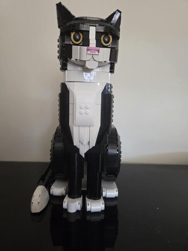 Review Thumbnail Image 0 1214101958