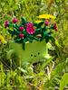 https://photos-eu.bazaarvoice.com/photo/2/cGhvdG86bGVnby1nbG9iYWw/a4d7b565-91e8-504e-84a0-a54ed3d610dc