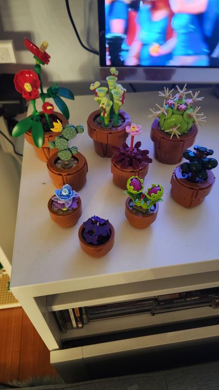 User generated review image 1