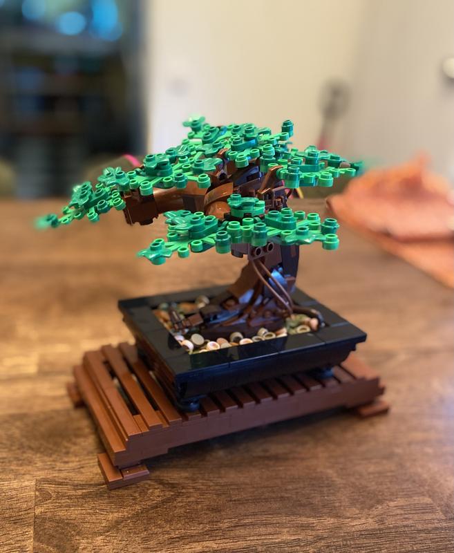 LEGO Bonsai Tree 10281 MYER