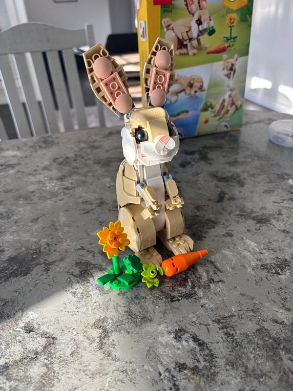 User generated review image 2