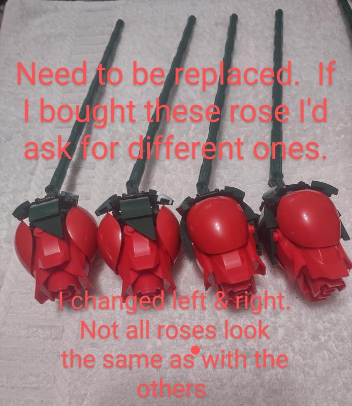 User generated review image 1