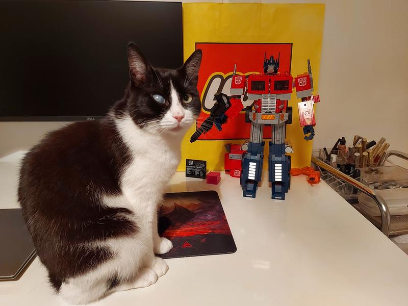 User generated review image 3