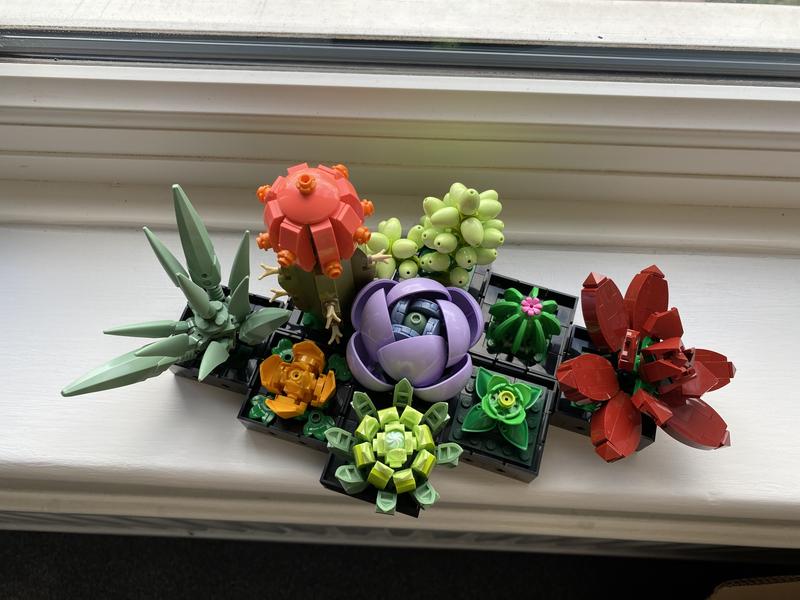 User generated review image 1