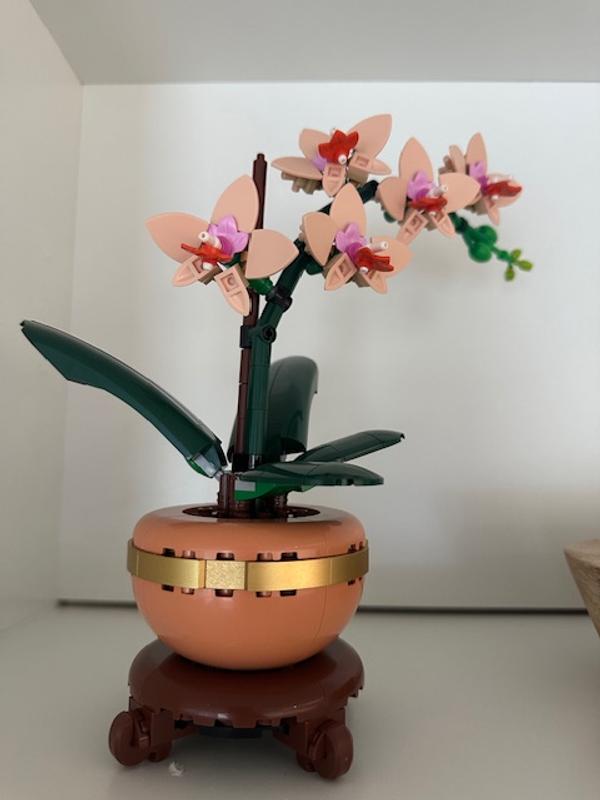 User generated review image 2