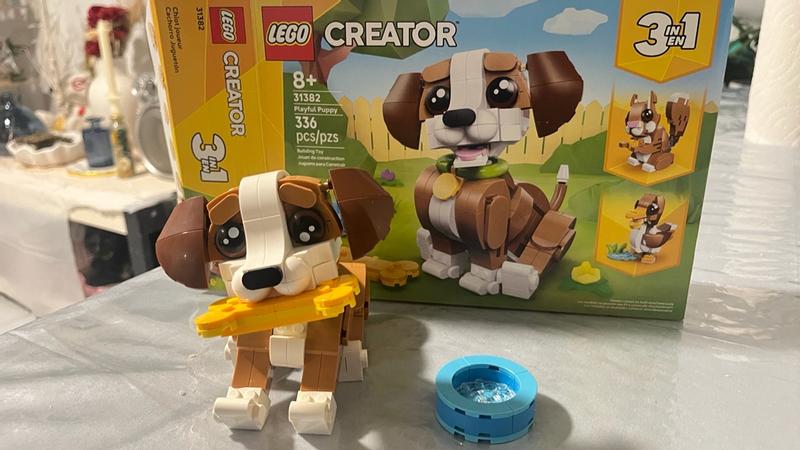 User generated review image 2