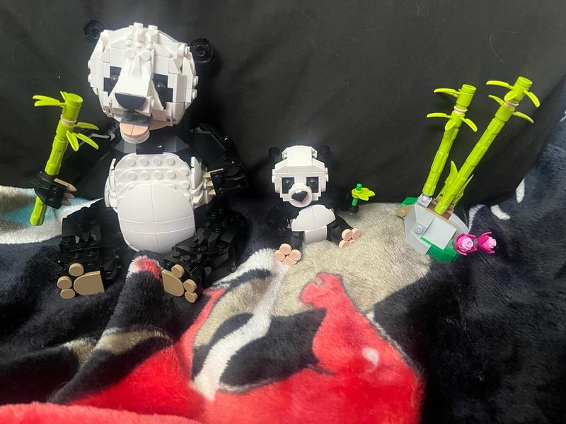 User generated review image 2