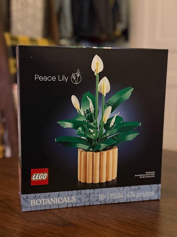 User generated review image 2