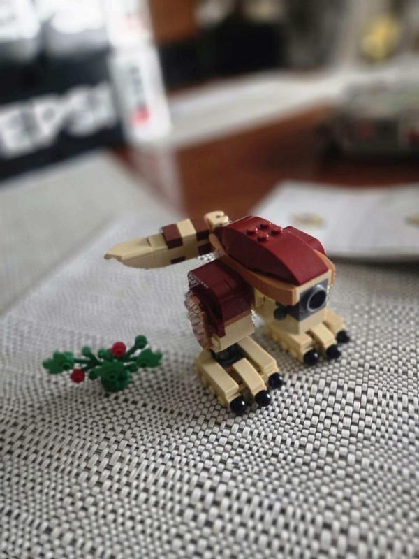 User generated review image 2