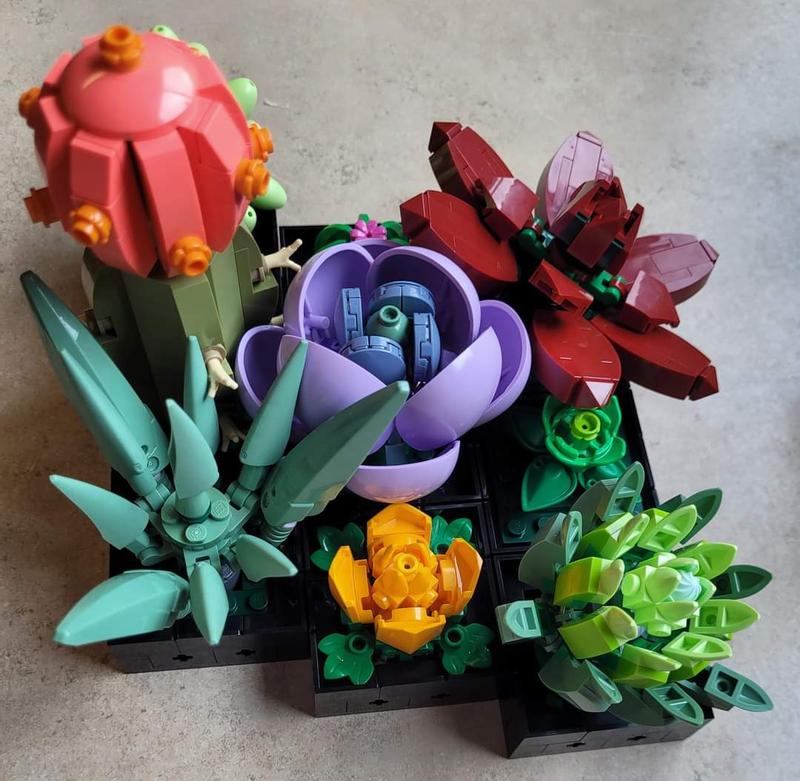 User generated review image 3