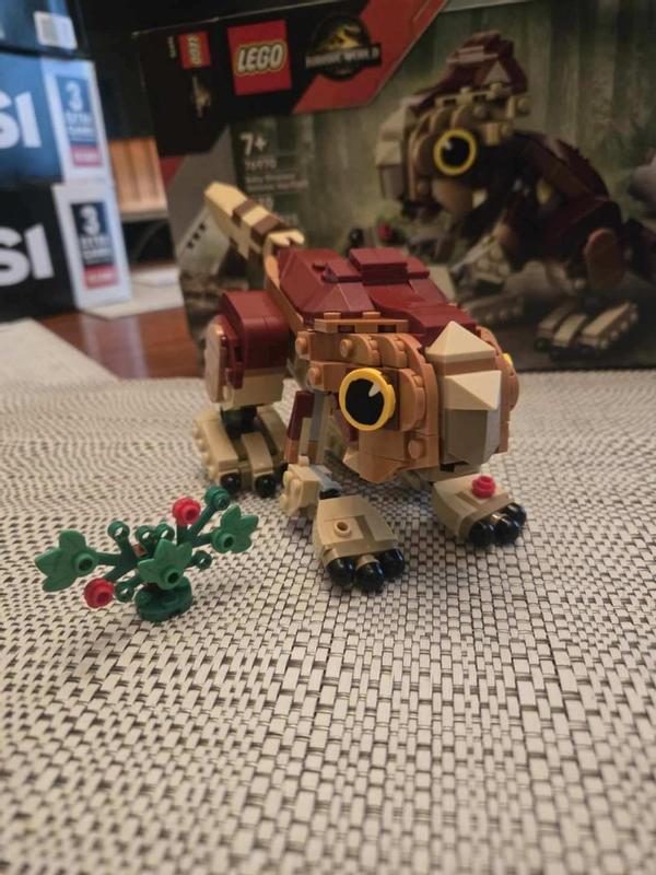 User generated review image 1