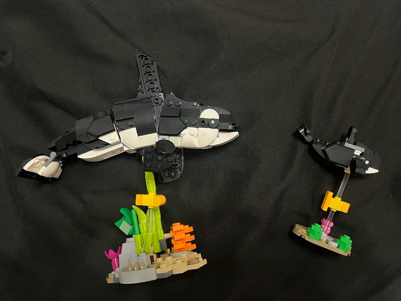 User generated review image 3