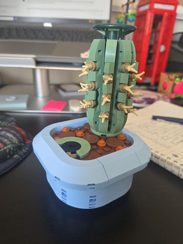 User generated review image 1