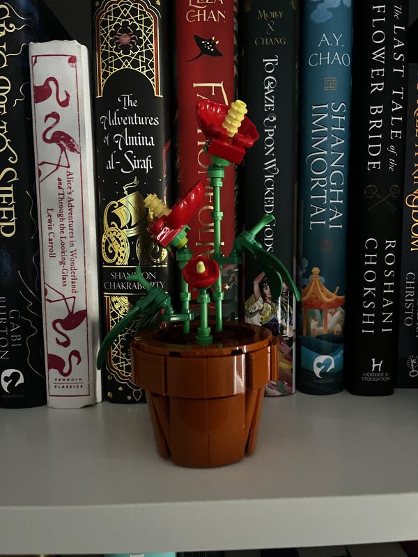 User generated review image 3