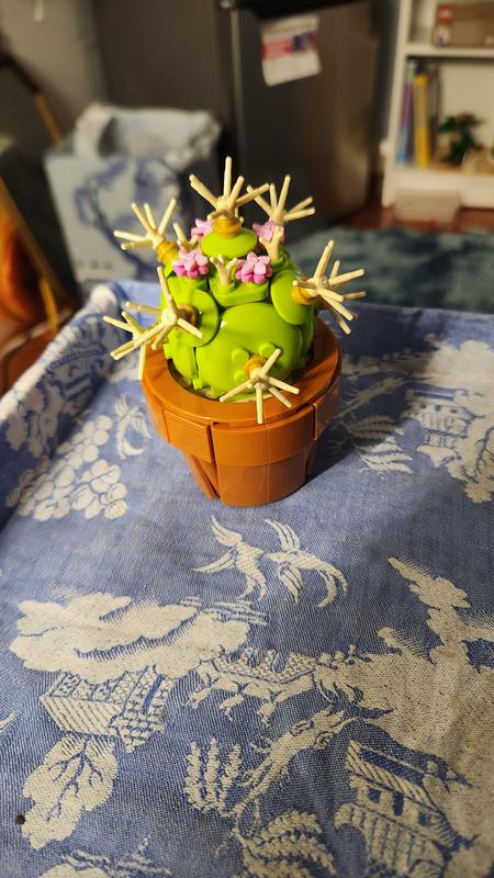 User generated review image 2