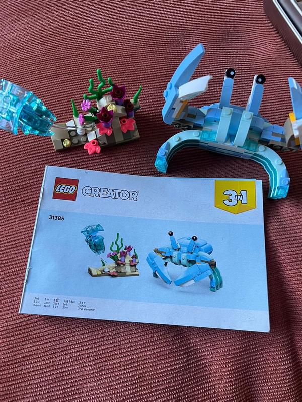 User generated review image 3