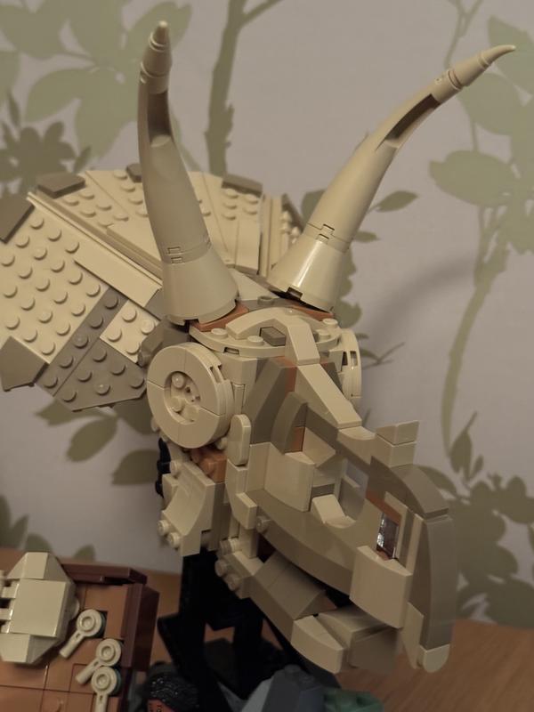 User generated review image 1